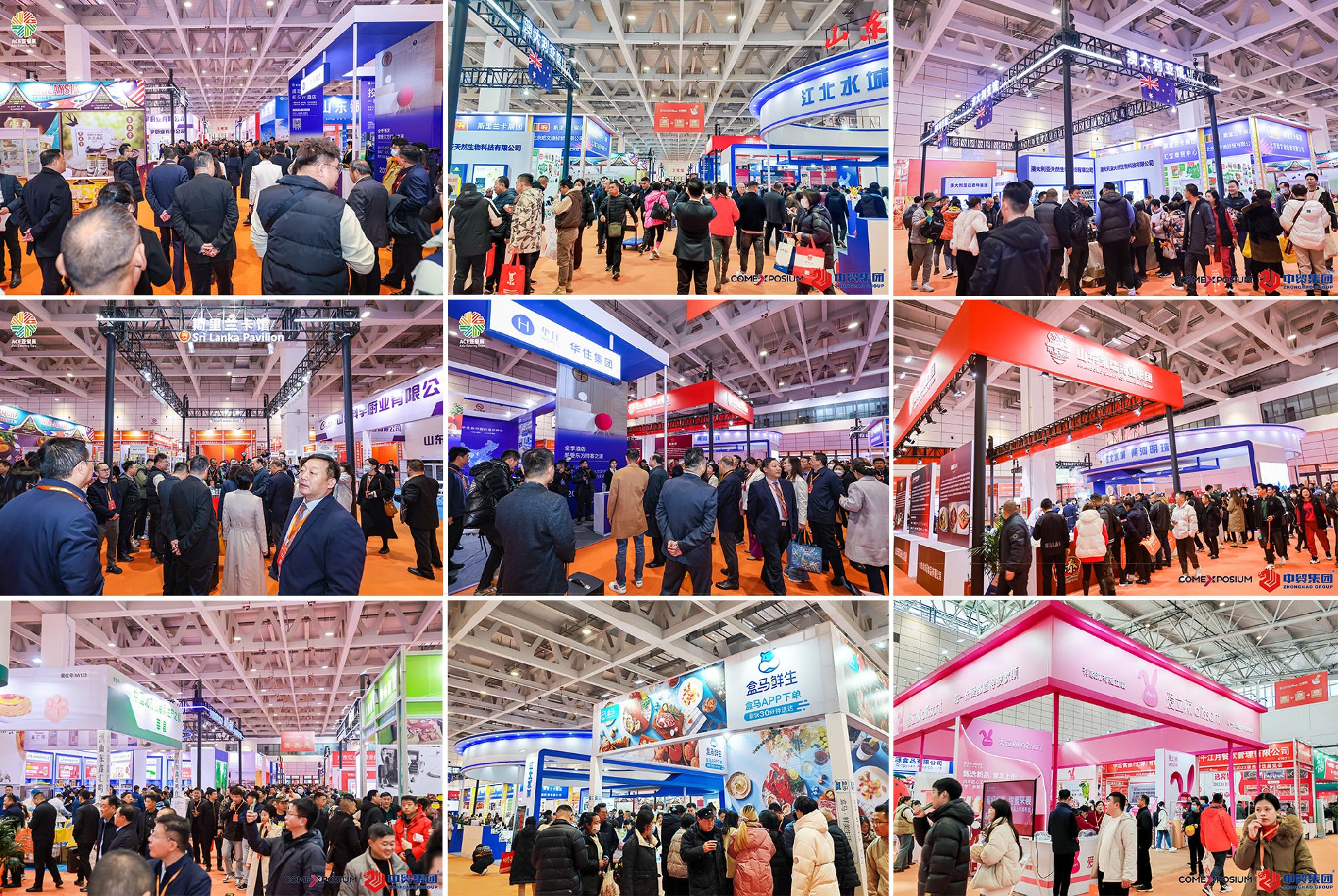 1709360357204734.jpg 1709360357204734.jpg